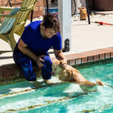 Experienced with dogs, cats, bunnies, hamsters, and fish. I am offering responsible care, attention, and love to one's pet.