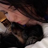 Pets are my passion, let me get to know your fur baby!