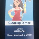 Knowledgeable Cleaner