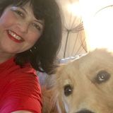 Reliable Plano Pet Sitter Interested In Job Opportunities