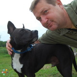 Your dog has a new best friend!