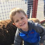 PT care for Lego and train loving 3 yr old boy!
