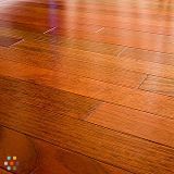 Free Home Cleaning! Promotion!