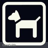 All positive reinforcement dog training professional also offers Pet-Sitting!