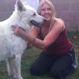 Available: EXPERIENCED, FUN AND LOVING DOG WALKER AND DAY CARE OR OVERNITE Covina . I TEACH OLD DOGS NEW TRICKS!