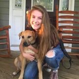 Available: Hardworking Petsitter in Mooresville, North Carolina