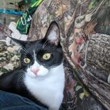 Professional, experienced, reliable pet sitter with over 25 years experience. Serving Archer and SW Gainesville.