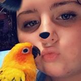 Im an experienced bird owner and sitter