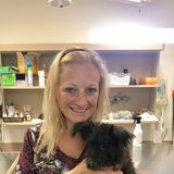 Mesa Petsitter Searching for Work in Arizona