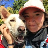 Caring and patient babysitter looking for part time work