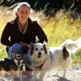 Medical Needs Pet Sitting and Dog Walking