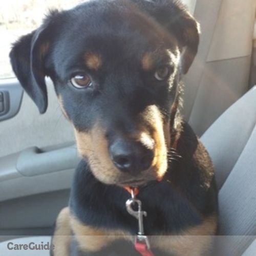Pet Care Provider Kara G's Profile Picture