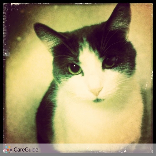 Pet Care Job Rachel Biagi's Profile Picture