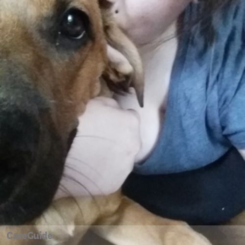 Pet Care Provider Ashley B's Profile Picture