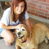 Honest Pet Service Provider in Midland, Texas