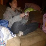 Pet sitting and treatments provided by an experienced tech