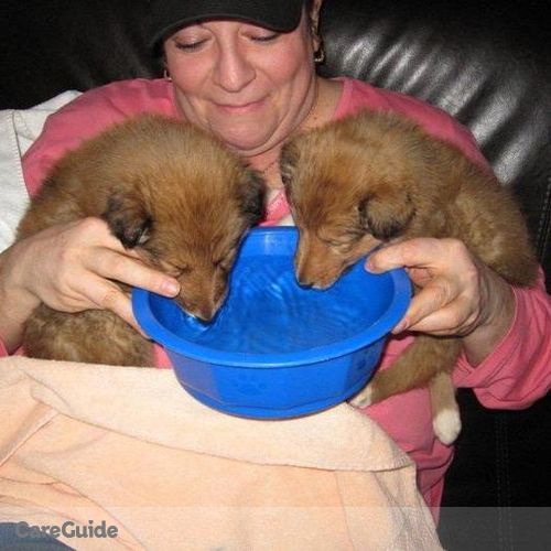 House Sitter Provider Merle Larsen's Profile Picture