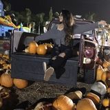 Well Trained House Sitter in Oxnard, California