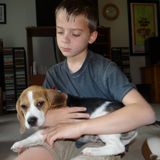 Passionate Pet Care Provider in Tavares, and animal magnet