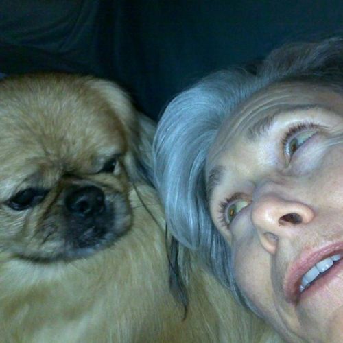 Pet Care Provider Kathleen E's Profile Picture