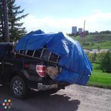 General handyman - lawn care, dump hauls, dog waste removal