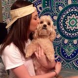 Experienced Pet Care Provider Available Today