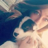 Home All Day- Playful, Caring, Animal Lover.