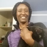 For Hire: Great House sitter in Glendale, good with cats