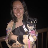 Pet Care Provider in Franklin, North Carolina