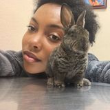 Pet care provider