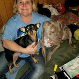 I have been around animals all my life. I have worked as a groomer for over 10 years. Also studied as a vet tech.