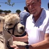 Interested In Pet-sitting your baby in the Las Vegas/Henderson area.