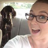 Substitute teacher with flexible schedule willing to house sit!