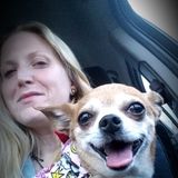 Certified Vet Tech w/17yrs of experience would love to meet your special needs felines or small dogs or birds or pocket pets