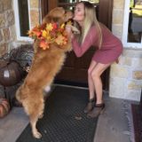 For Hire: Pet Sitting Professional
