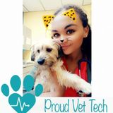 Seeking Normal Pet Sitter Jobs
