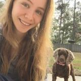 Seeking Beaufort pet sitting jobs. Love all animals!