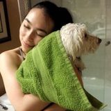 Searching for an Animal Lover Job in Irvine, California