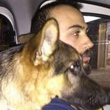 Honest Pet Sitter in Rosedale