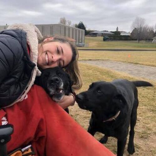 exotic pet sitters near me