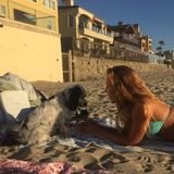 Ready to give love to your dog!