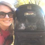 Minneapolis Pet Care Provider Interviewing For Being Hired in Minnesota