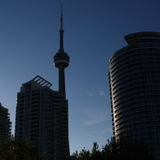 Toronto Care Giver Searching for Job Opportunities in Ontario