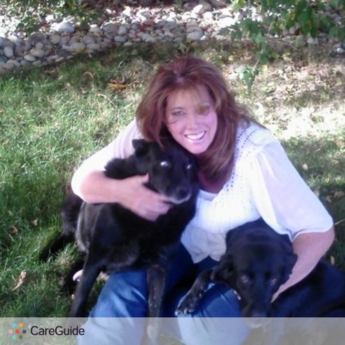 Pet Care Provider Lisa D's Profile Picture