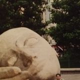 Rocky Bean