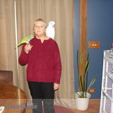 Cleaning and or pet care.