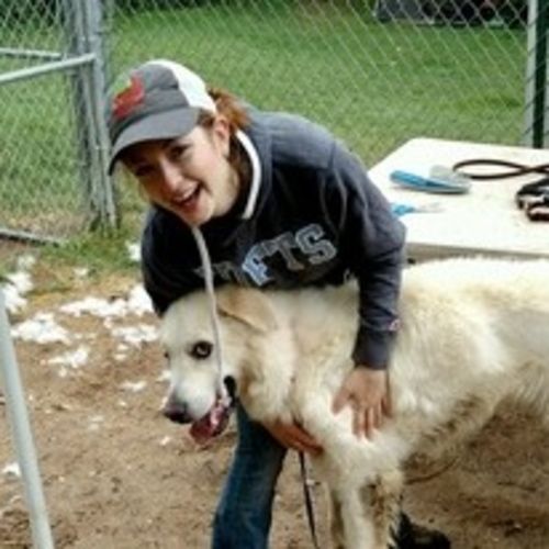 Pet Care Provider Hailey M's Profile Picture