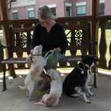 Looking forward to helping with your pet