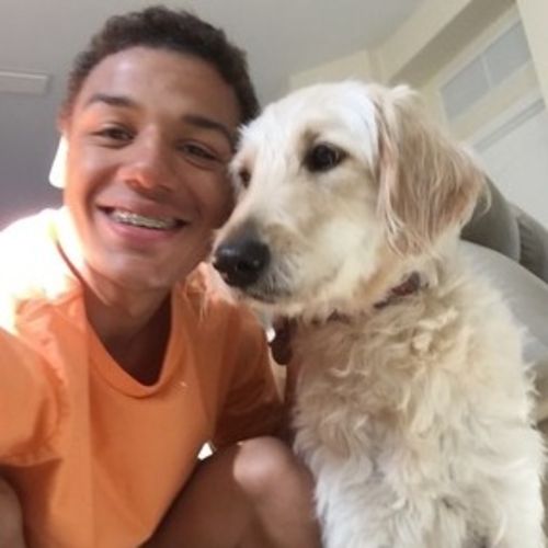 Pet Care Provider Daryl M's Profile Picture