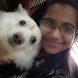 Markham Pet Sitter Interested In Being Hired in Ontario